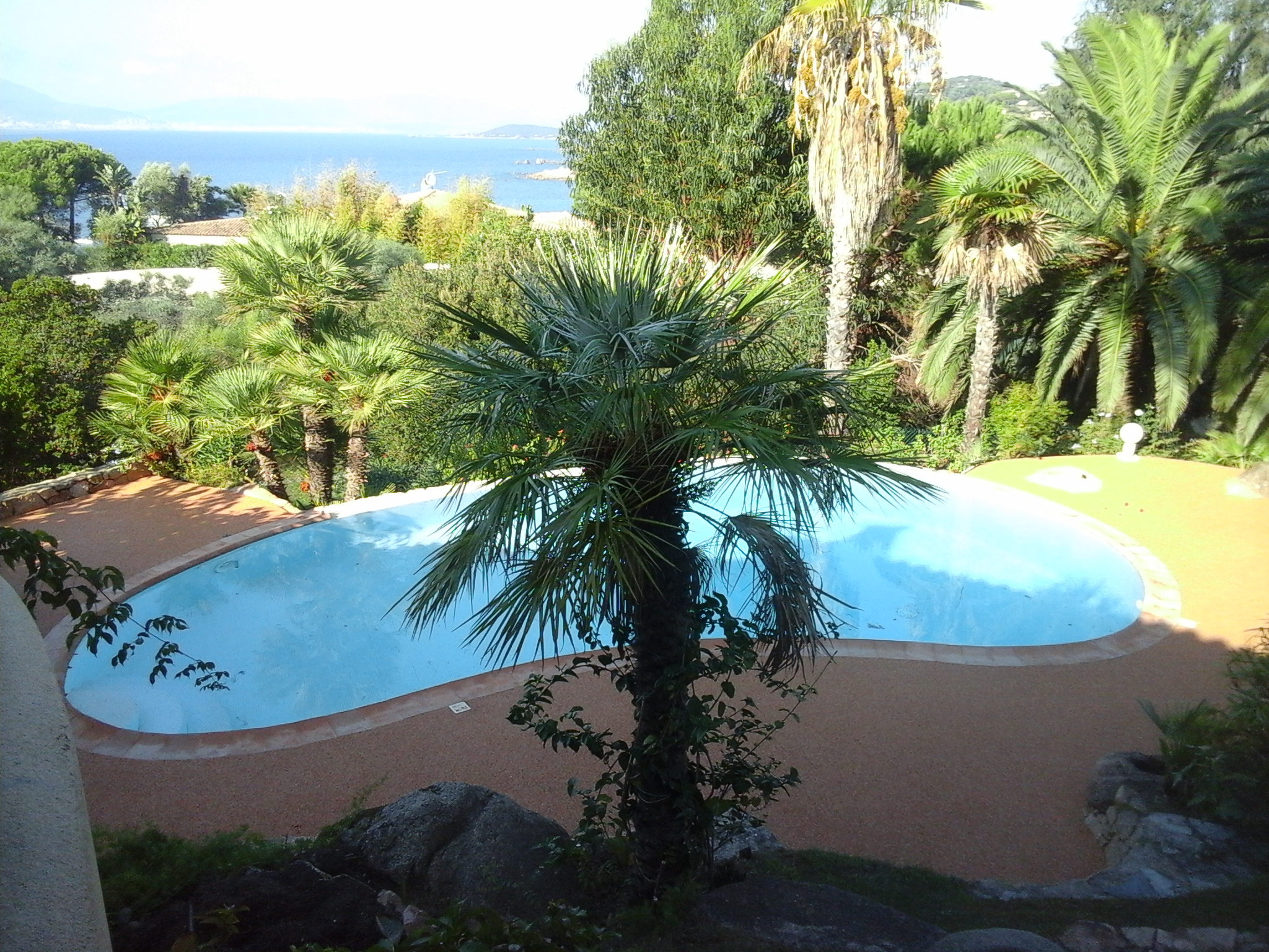 piscine Porticcio
