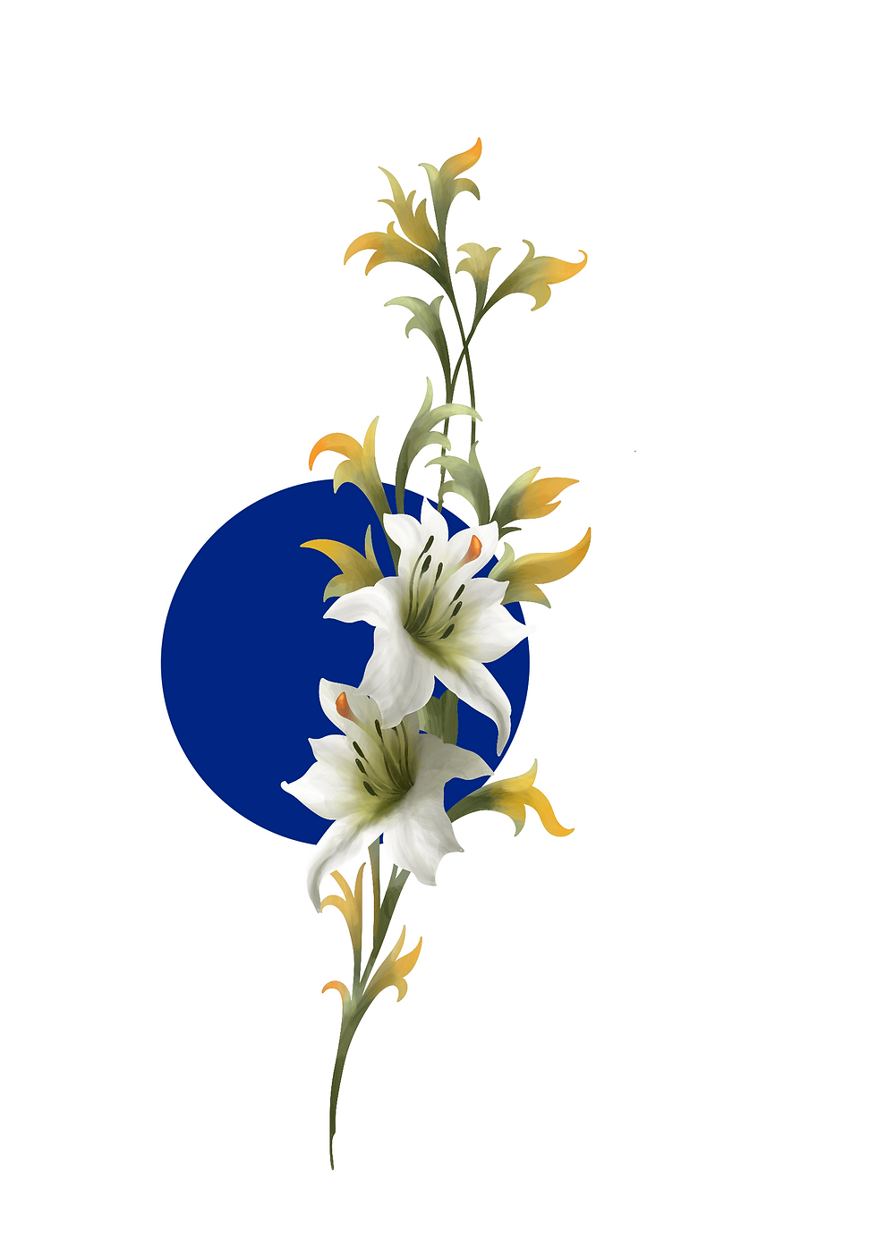 TM_GRAPHIC01