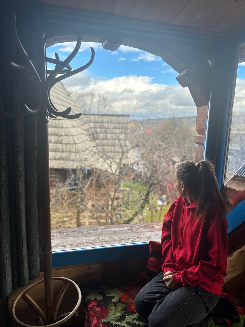 Anul pe care l-am dus