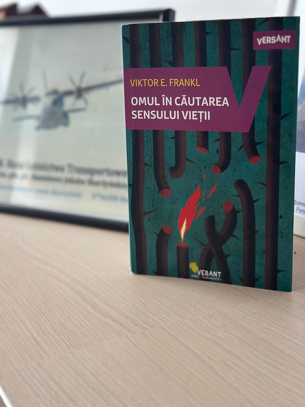 Omul în căutarea sensului vieții