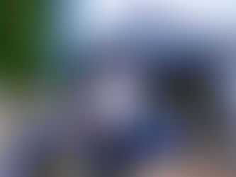 The Rescue Hotel on tour with their dogs!