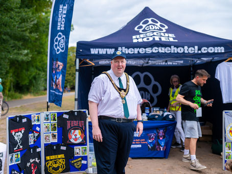 The Rescue Hotel on tour with their dogs!