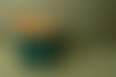 Waste Changes are Coming to Rhiwbina. Please let us know your views!