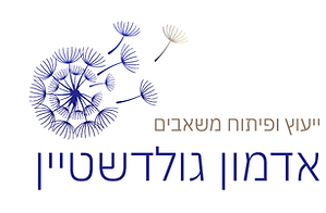 ענבר אדמון גולדשטיין ייעוץ ופיתוח מששאבים