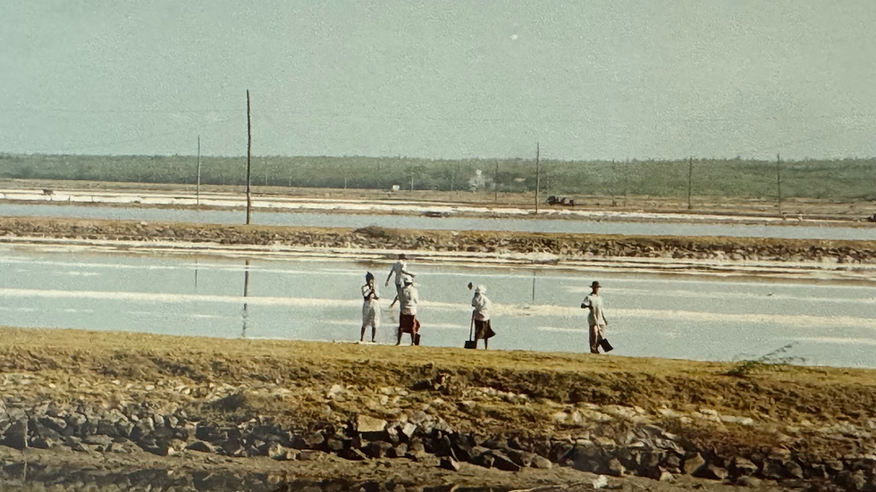 five people in the distance with shovels gathering salt from shallow waters in Sri Lanka
