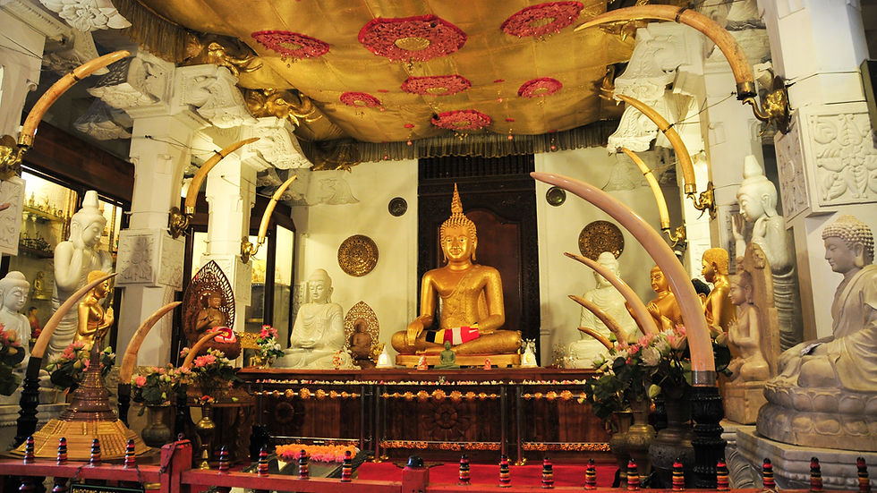 Image of a golden Buddhist statue inside a temple, surrounded by elephant tusks