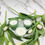 Thumbnail: Pure rapeseed - Cylinder - Mint green