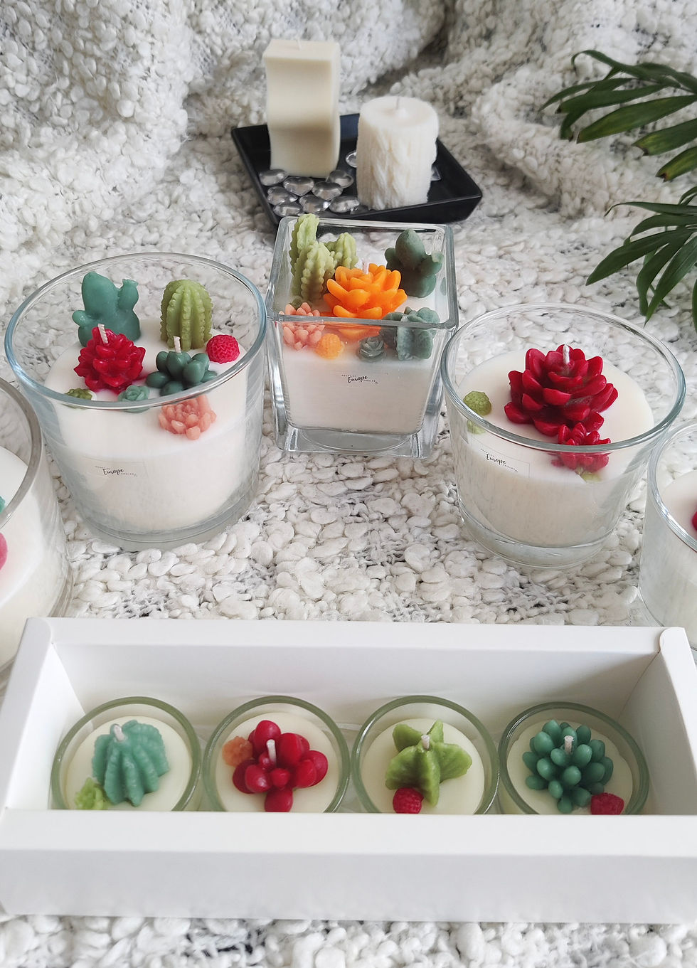 Thumbnail: Succulent candle XL - transparent