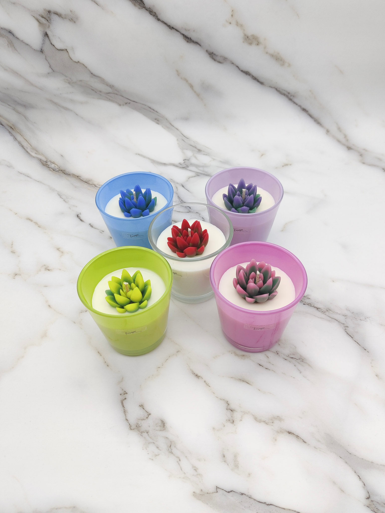 Small succulent candle