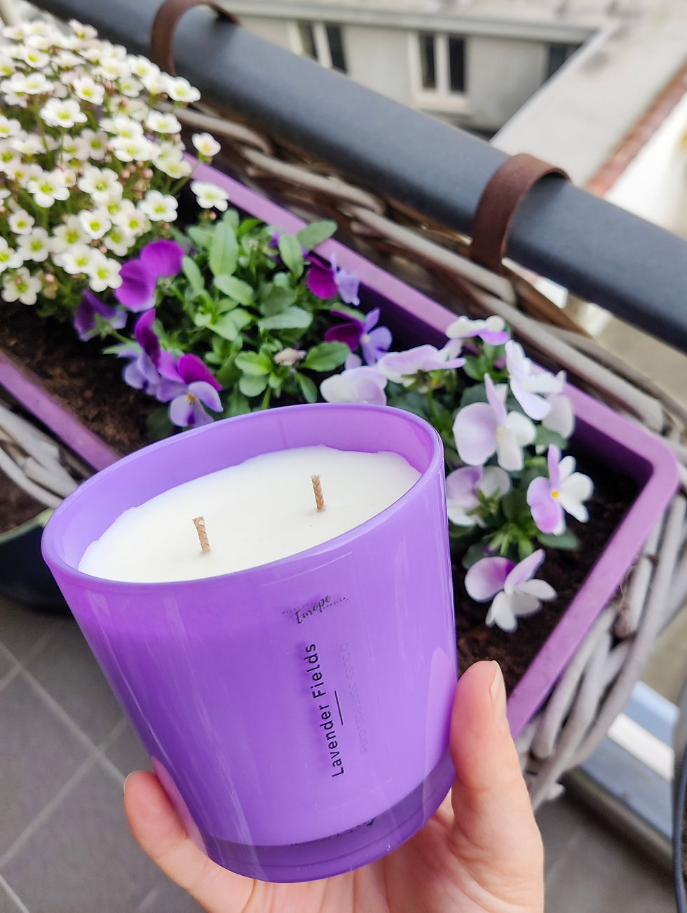 Miniature : Bougie parfumée - Lavender Fields