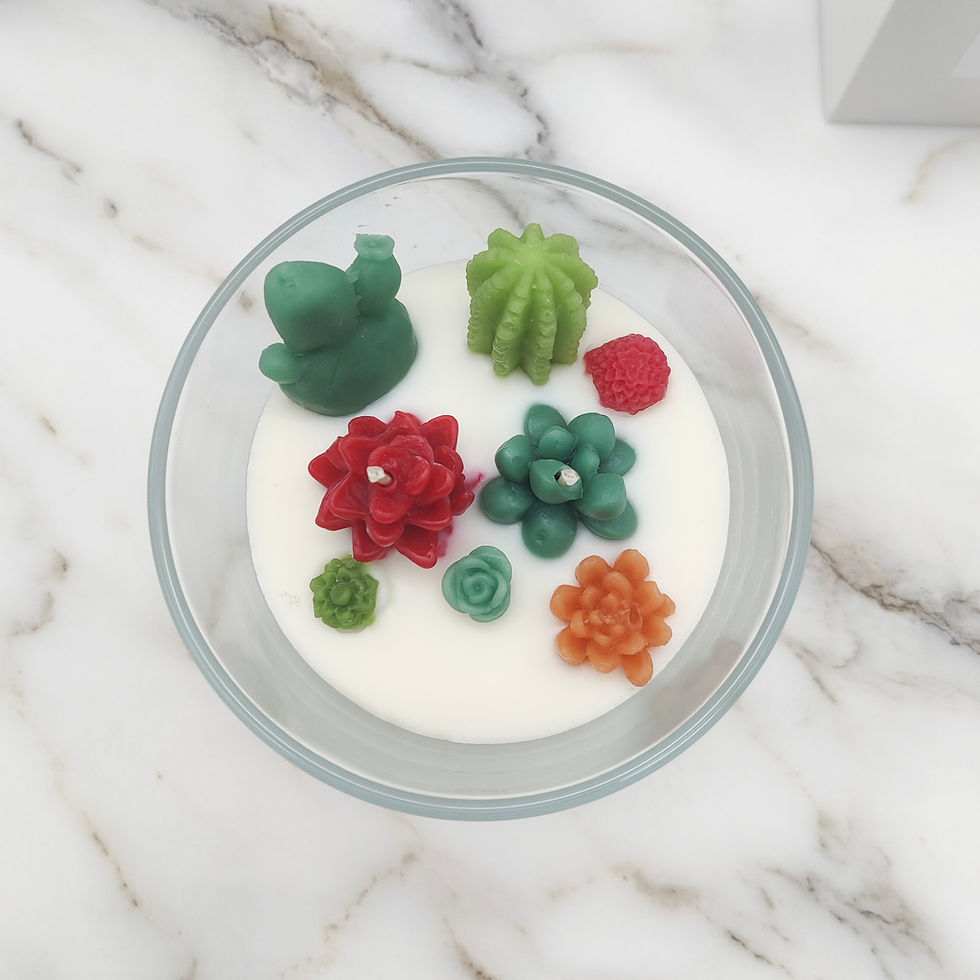 Thumbnail: Succulent candle XL - transparent