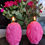 Thumbnail: Blooming Garden beeswax candle gift set - pink
