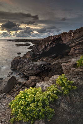 Site internet-82.jpg