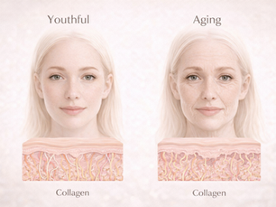 collagen loss facial aging changes