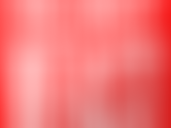The Daily Beast