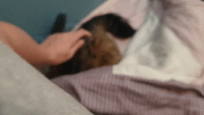 20211008_174719_1.gif