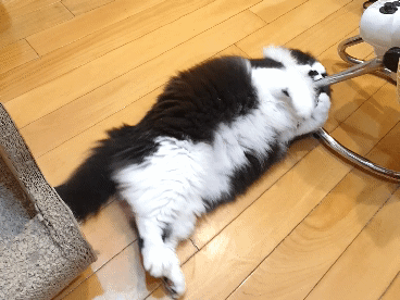 20211220_163559.gif