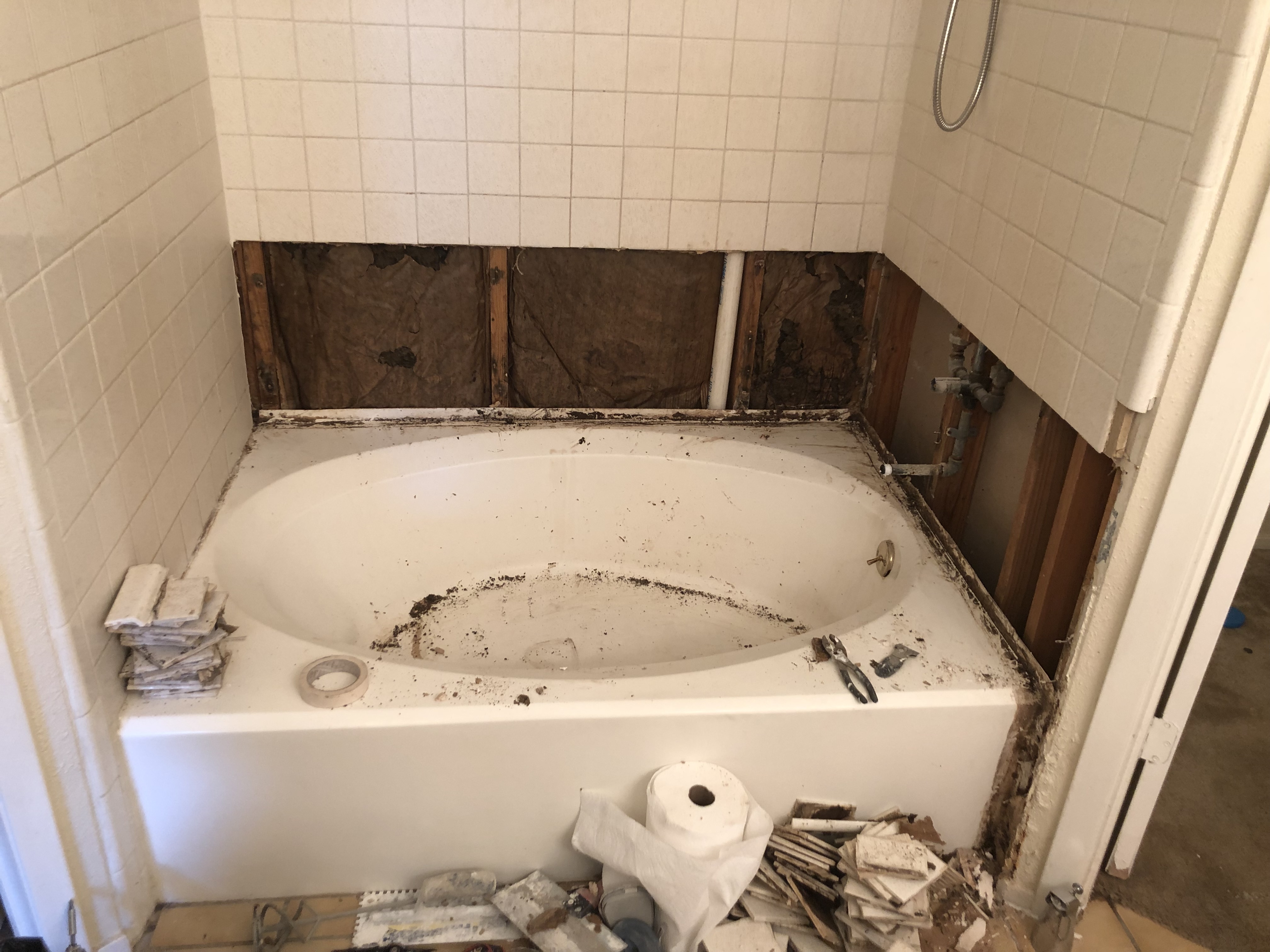 Garden Tub and Tile