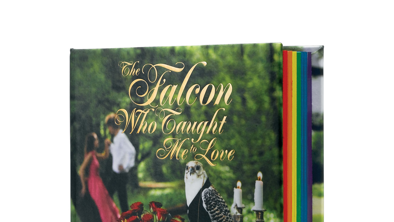 The Falcon Who Taught Me To Love: An Inspirational Skittles Brand Book w/ TBWA\Chiat\Day New York