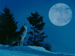 Full Wolf Moon