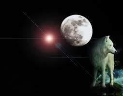 images-26