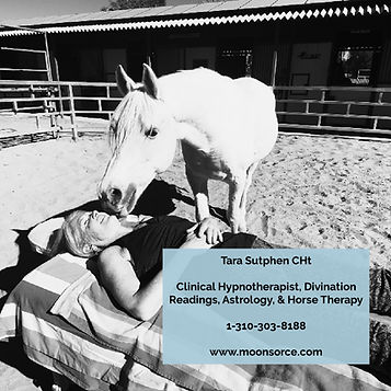 horsetherapy with dakar & kristan 444.jpg