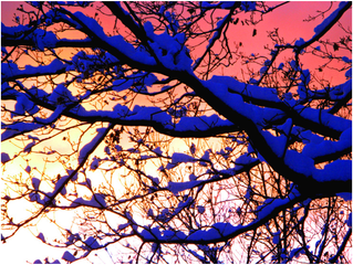 Full Snow Moon