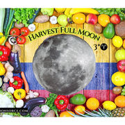 Full Harvest Moon