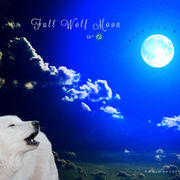 Full Wolf Moon 