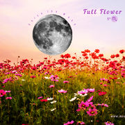 Full Flower Moon on Beltane