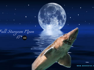 Full Sturgeon Moon