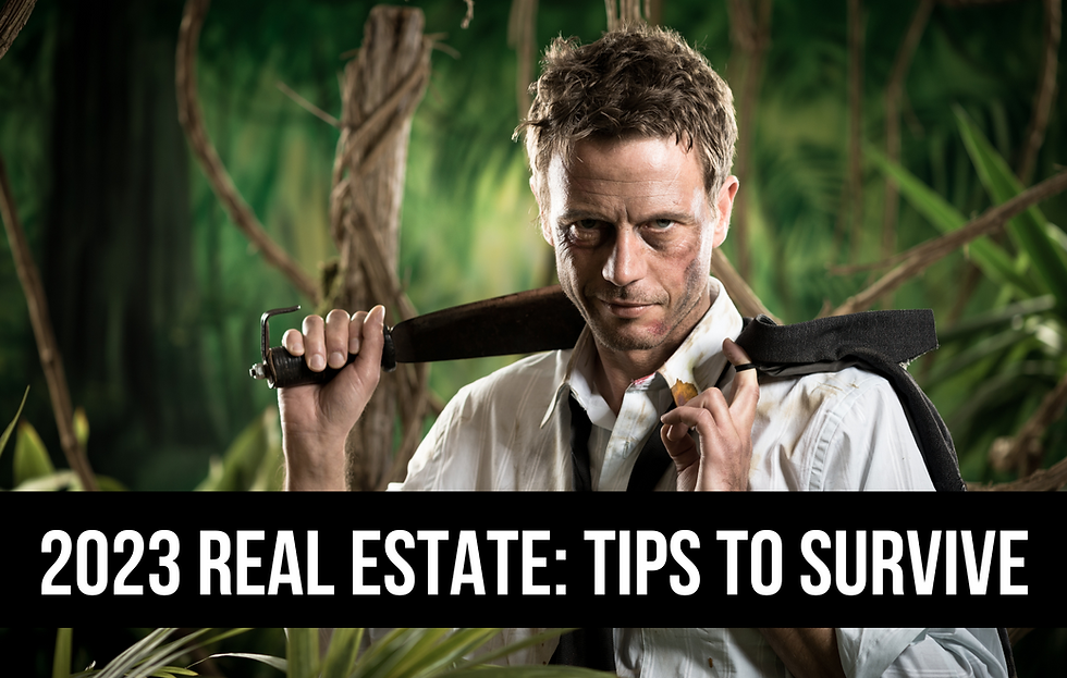 2023 Real Estate: Tips to Survive