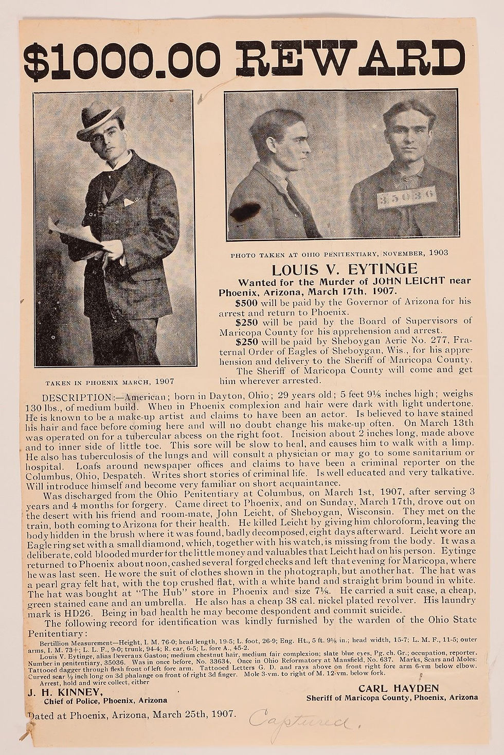 The Past Few Weeks....