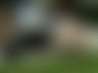 Honoring Our Heroes... Michael Budd