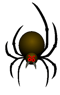 spider crawl