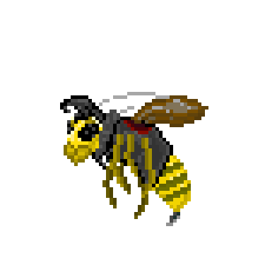 Bumble-Jacket