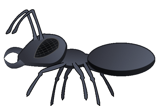 ant walk
