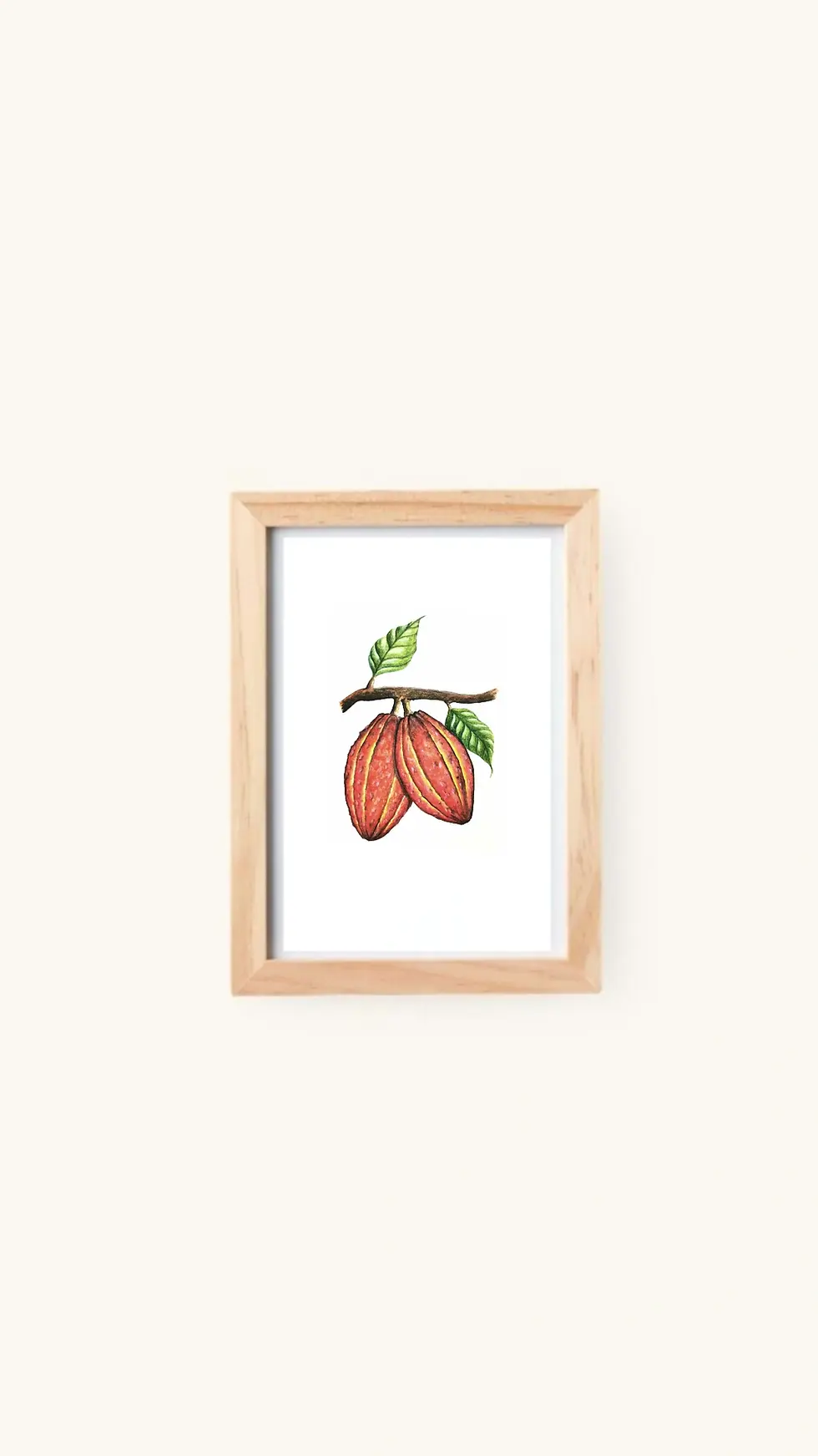 Miniature : Cabosses de cacao