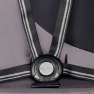 Safety harness