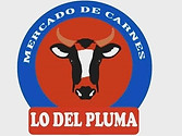 pluma2.jpg