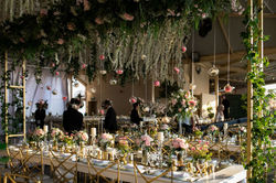 953ae5f8-5493-4423-bda5-f340eada8dc4