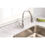 Thumbnail: Premier Muir Single-Handle Pull-Down Sprayer Kitchen Faucet in Chrome