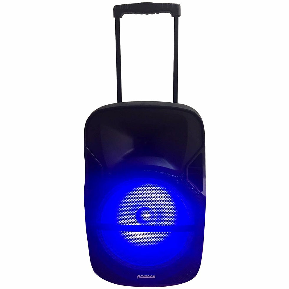 Miniatura: Bafle amwood potenciado