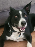 Happy god with tongue out