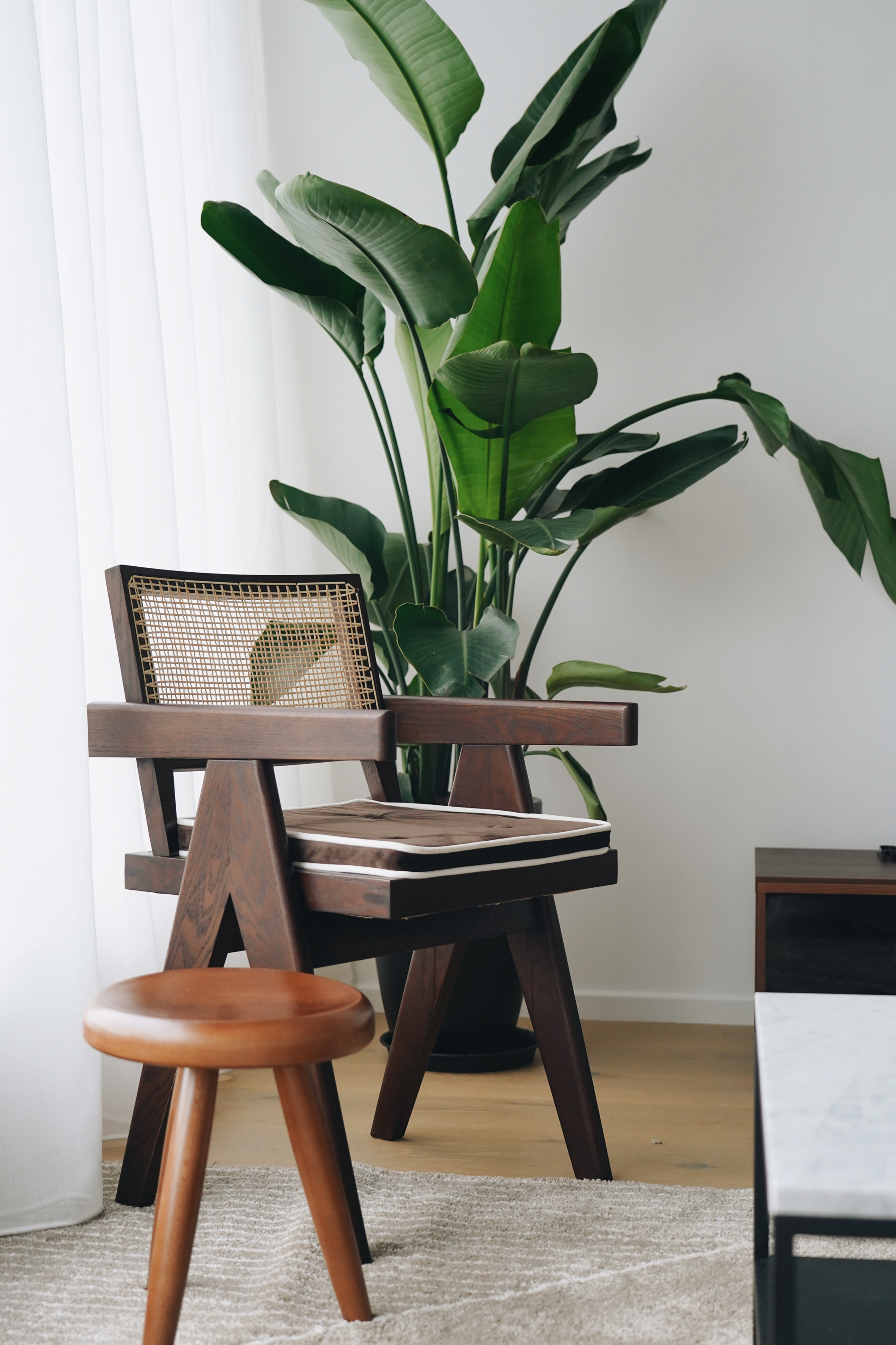 Pierre Jeanneret Office / Dining Chair