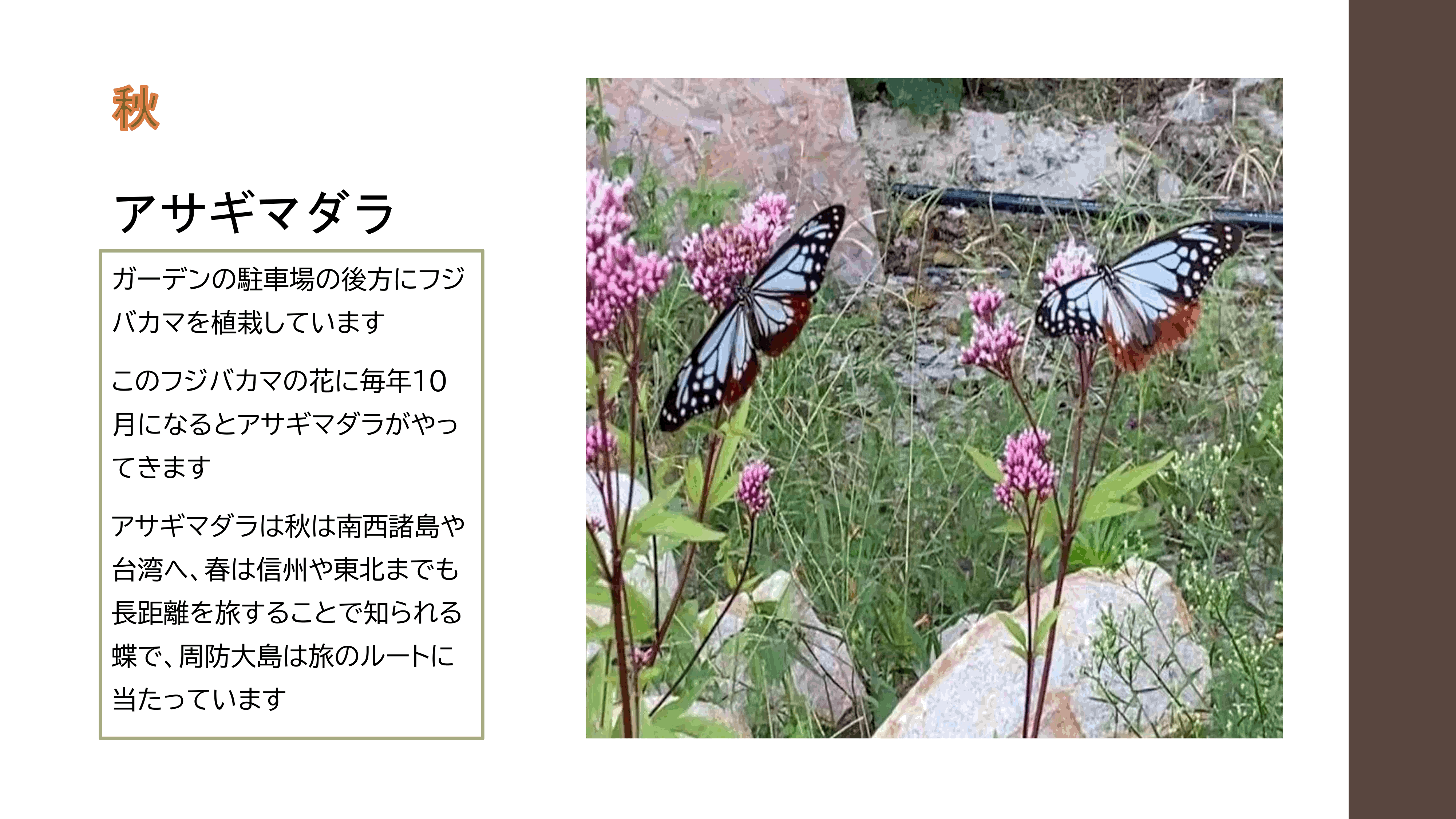 リバージュの楽しみ方p30.gif