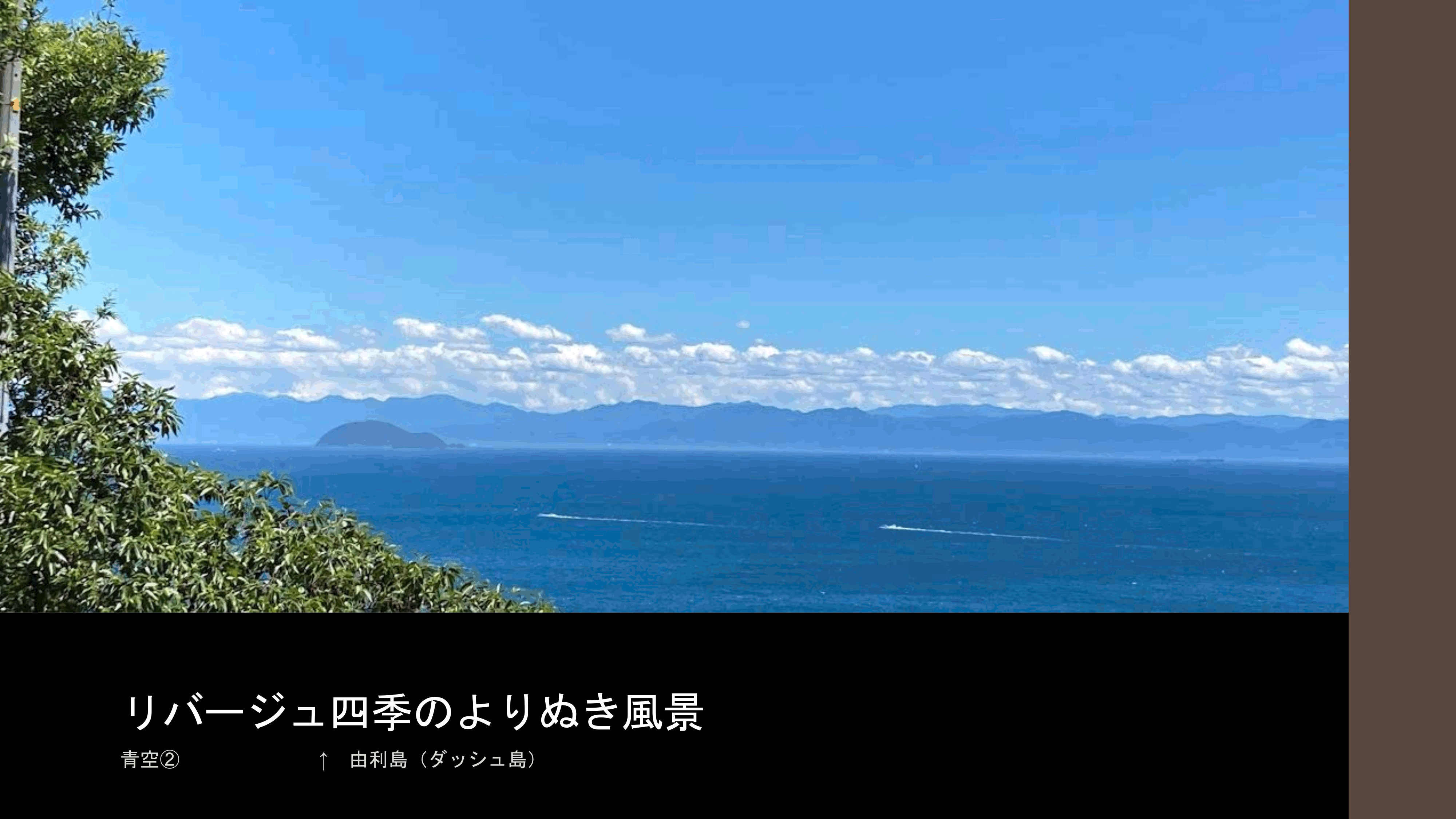 リバージュの楽しみ方p14.gif
