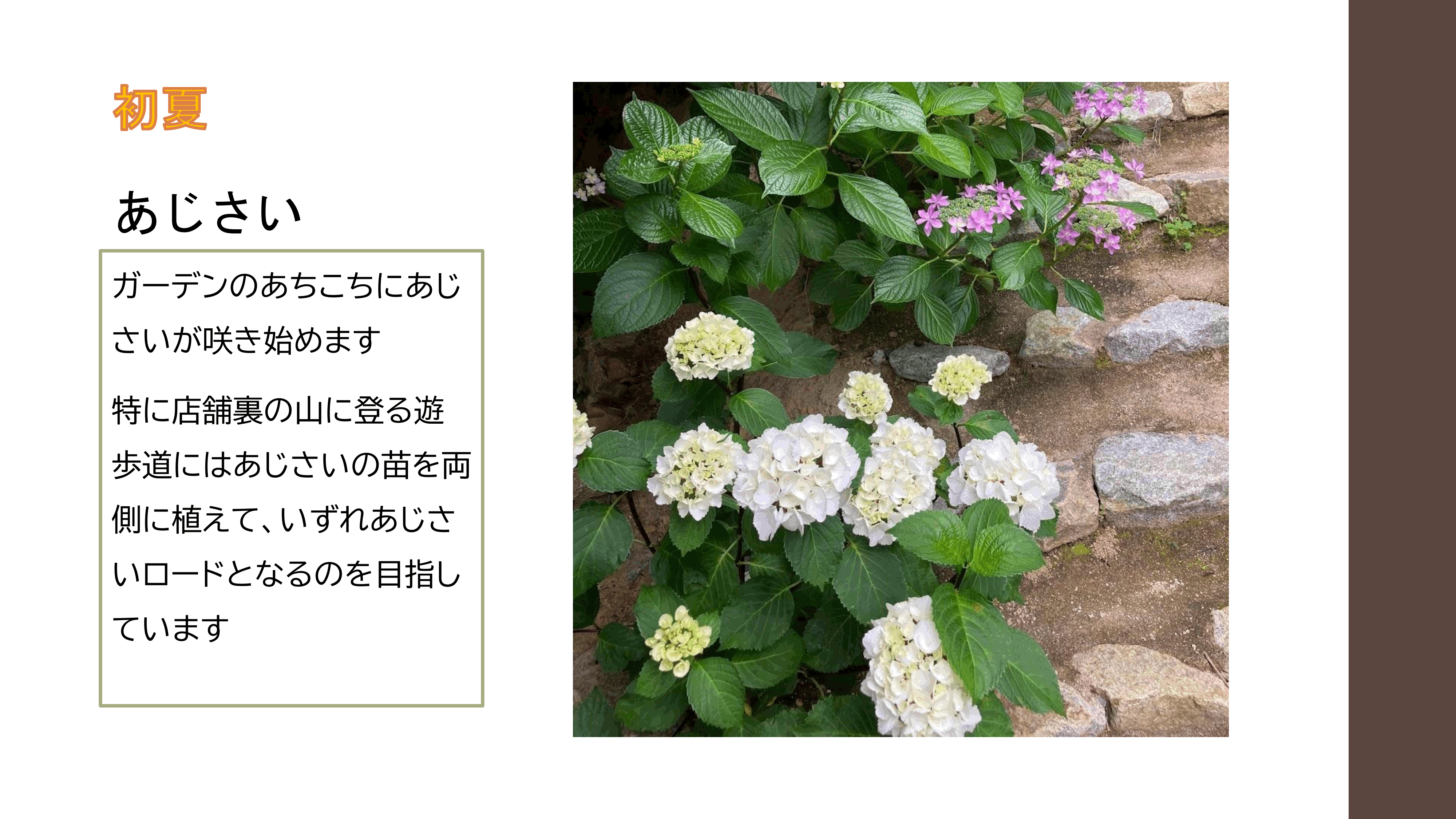 リバージュの楽しみ方p28.gif