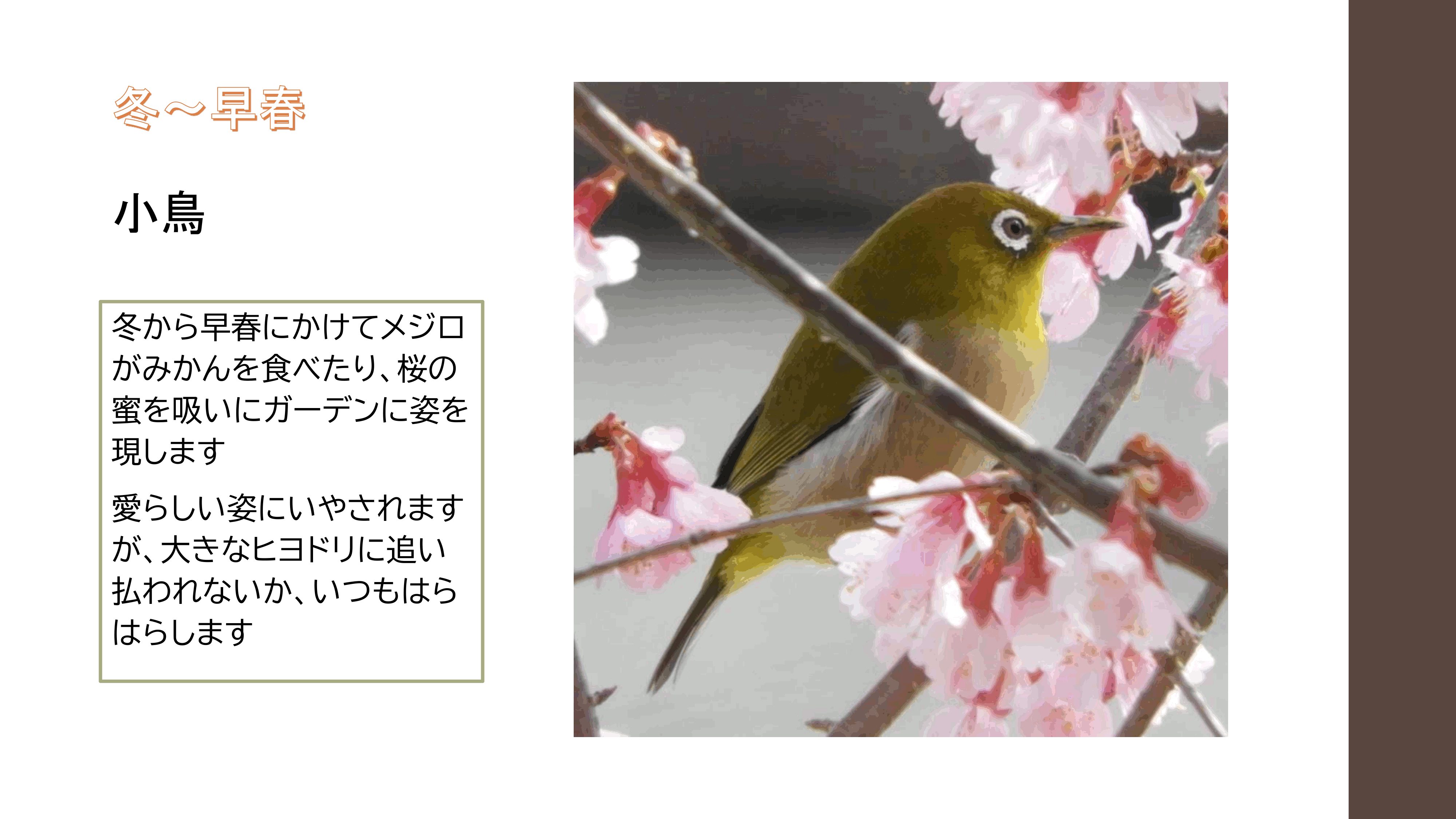 リバージュの楽しみ方p23.gif