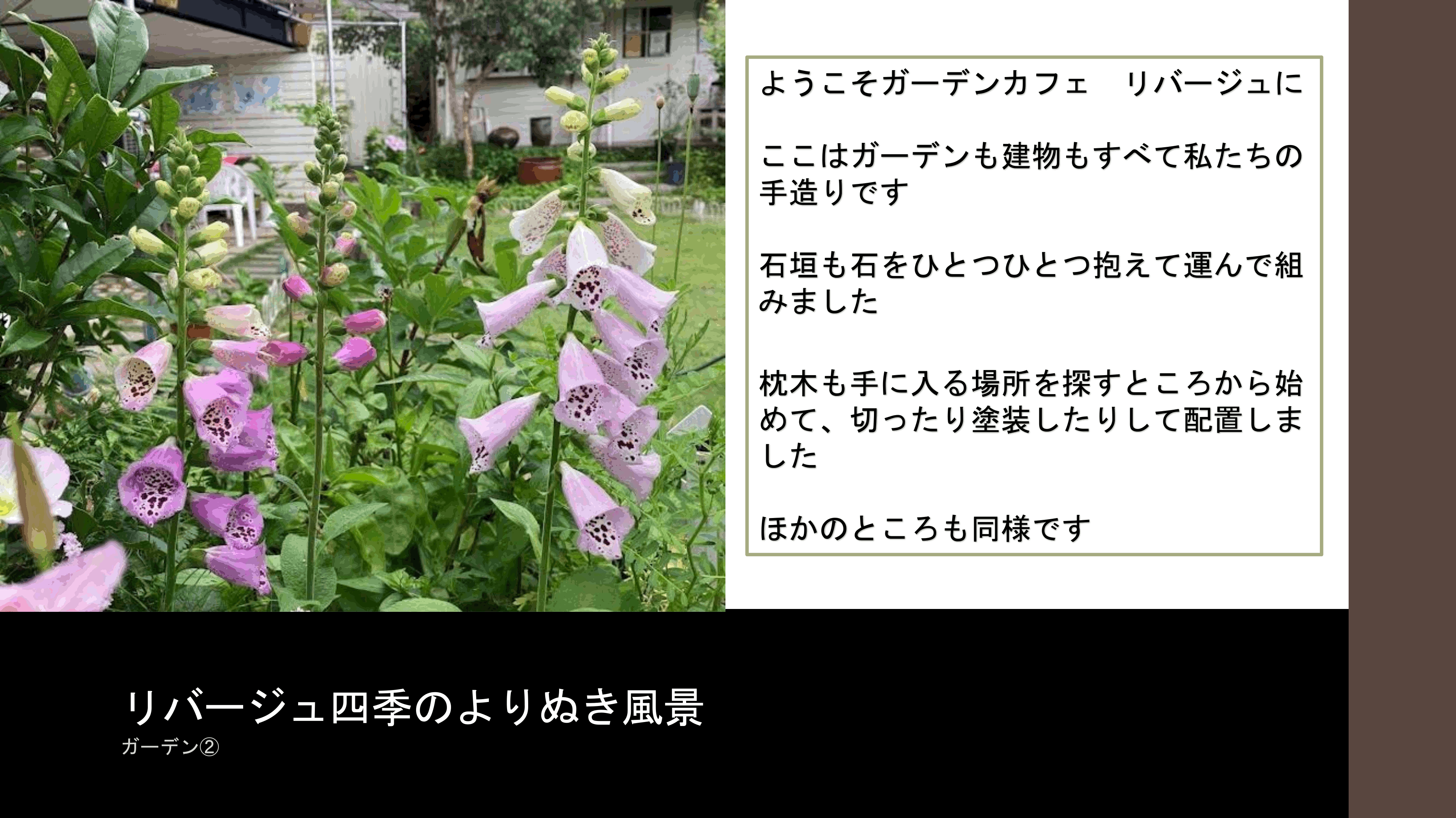 リバージュの楽しみ方p4.gif